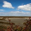 n�dhern� krajina v parku Camargue, kde se voln� pohybuj� plame��ci, kon� a b�ci